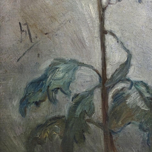 1277 - Early 20th century oil on board, flower study, signed with monogram, 25