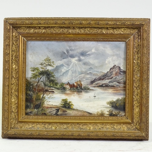 1285 - Oil on board, Highland Loch scene, indistinctly signed, dated 1897, 9