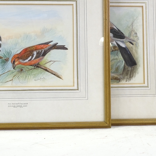 1290 - Lilian Medland (1880 - 1955), pair of gouache paintings, two barred crossbill and jay, signed, 7.5