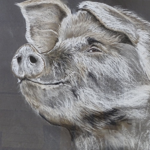 1311 - Clive Fredriksson, charcoal and chalk, study of a pig, 19