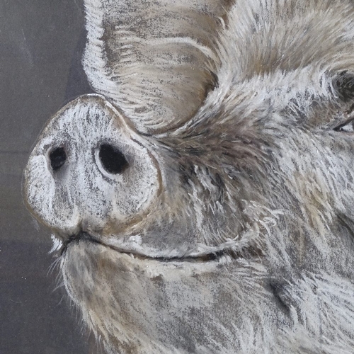 1311 - Clive Fredriksson, charcoal and chalk, study of a pig, 19