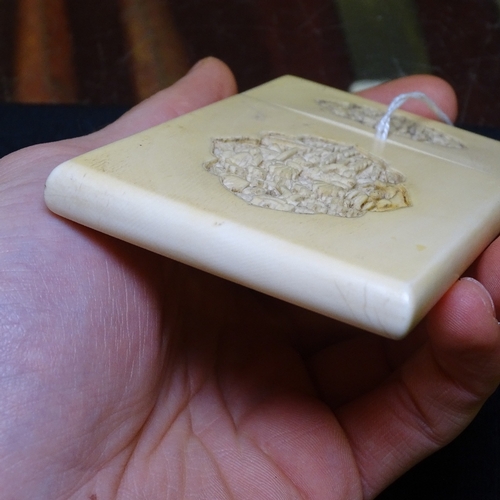 292 - A 19th century Chinese ivory card case with relief carved covers, length 10.5cm