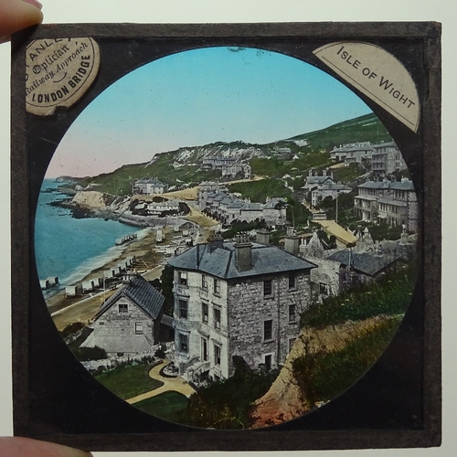232 - A collection of 19th century Magic Lantern slides, including vegetables, garden pests, and gardening... 