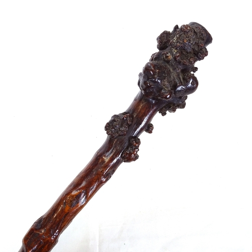 76 - A carved and stained rootwood shillelagh club, length 58cm