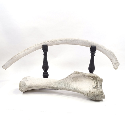 78 - A mammoth femur, length 75cm, and a mammoth rib bone, length 1.2m