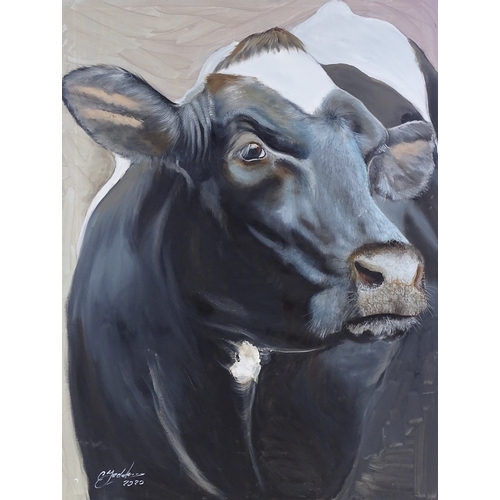 1253 - Clive Fredriksson, oil on canvas, cow, 32