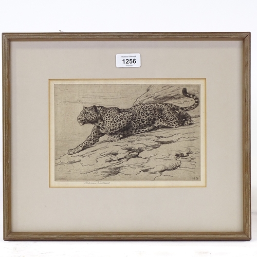 1256 - Herbert Dicksee (1862 - 1942), etching, Leopard on Hillside, plate size 6