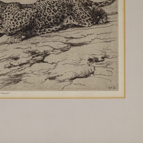 1256 - Herbert Dicksee (1862 - 1942), etching, Leopard on Hillside, plate size 6