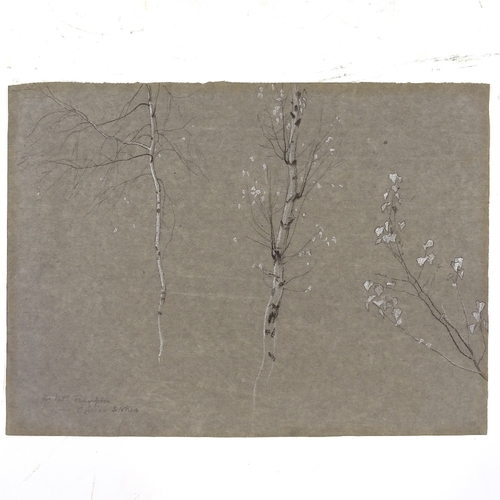 1264 - Adrian Stokes, charcoal/white on brown paper, silver birches, signed, 10.5