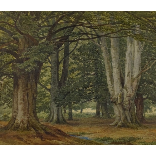 1265 - F R Lee, watercolour, Burnham Beeches, 1851, signed, 12.5