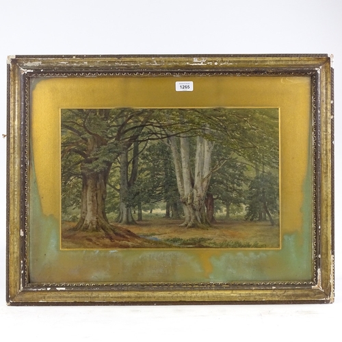 1265 - F R Lee, watercolour, Burnham Beeches, 1851, signed, 12.5