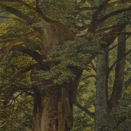 1265 - F R Lee, watercolour, Burnham Beeches, 1851, signed, 12.5