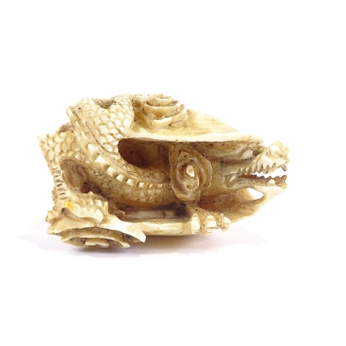 19 - A 19th century ivory netsuke, in the form of a dragon in a shell, signed to base, length 5cm.