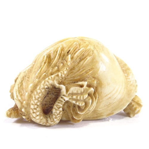 19 - A 19th century ivory netsuke, in the form of a dragon in a shell, signed to base, length 5cm.
