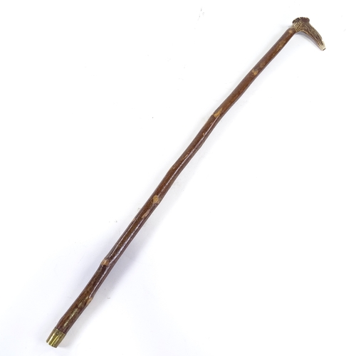 86 - A horn handled, whistle walking cane, length 87cm.