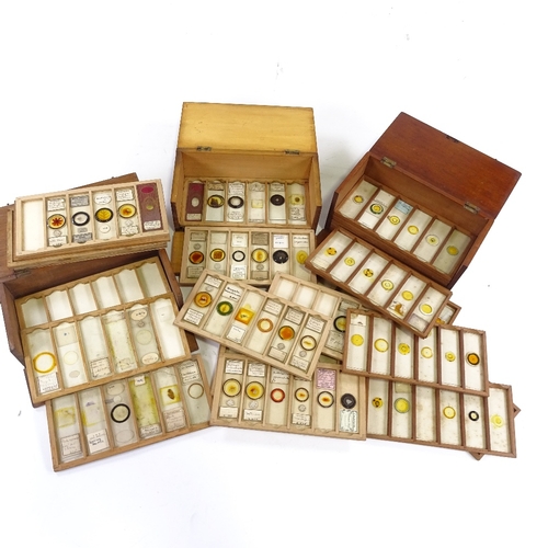 113 - 3 boxes of microscope slides, 19th and early 20th century, containing over 120 slides.