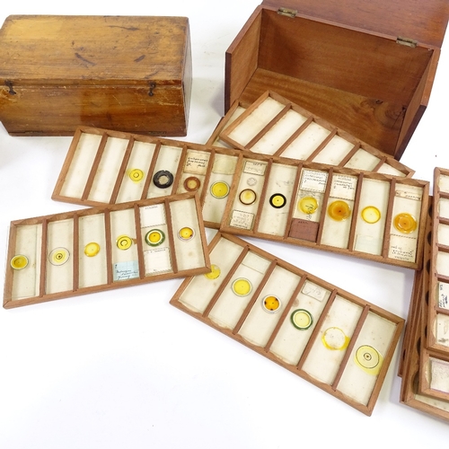 113 - 3 boxes of microscope slides, 19th and early 20th century, containing over 120 slides.