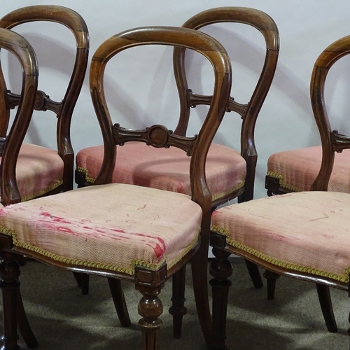 80 - A set of 6 19th century rosewood balloon back dining chairs.