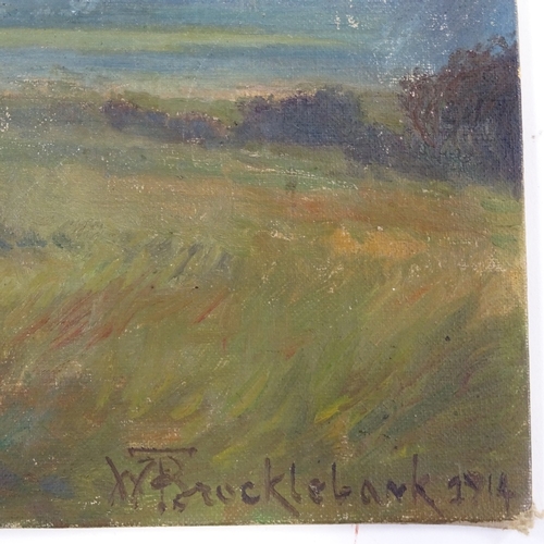 1256 - W Brocklebank, oil on canvas board, landscape, 1914, 7