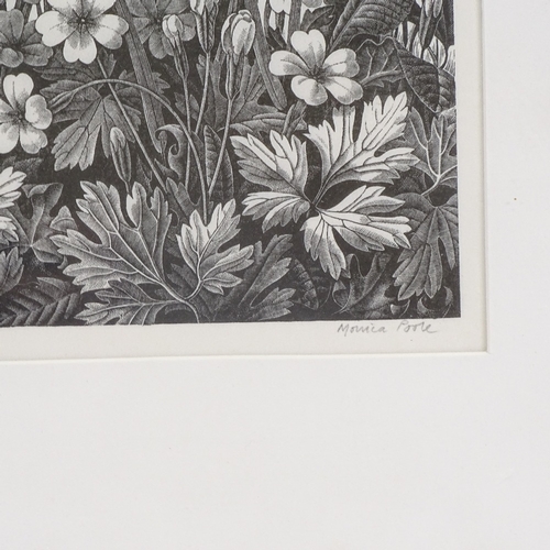 1267 - Monica Poole, woodblock print, herbage, signed in pencil, image 5