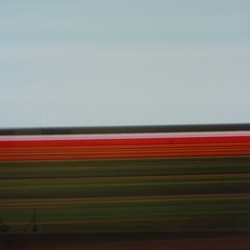 1180 - Rob Carter, limited edition print, Travelling Still, Tulip Fields Holland VIII, 2004, no. 5/12, imag... 