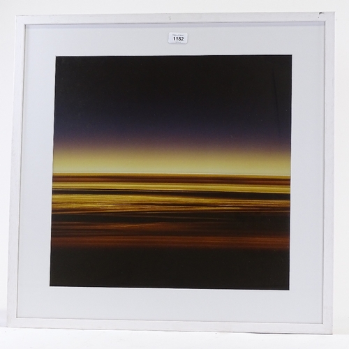 1182 - Rob Carter, limited edition print, Travelling Still, Coral Reef II, 2005, no. 5?/12, image 24