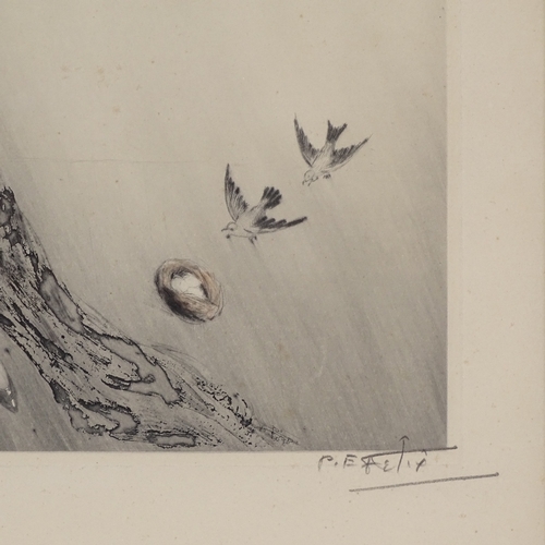 1217 - P E Felix, coloured etching, the bird's nest, signed in pencil, image 19.5