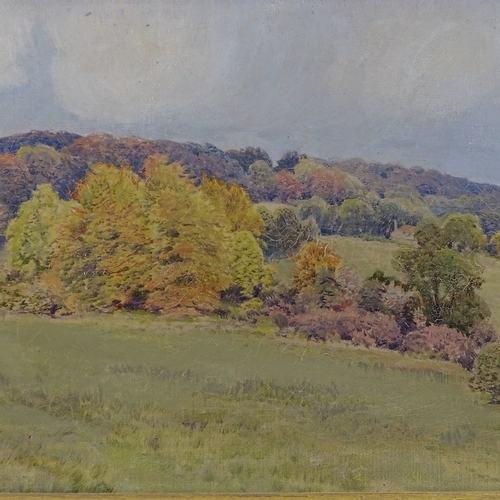 1265 - Early 20th century oil on canvas, extensive landscape, signed with monogram, dated 1912, 12