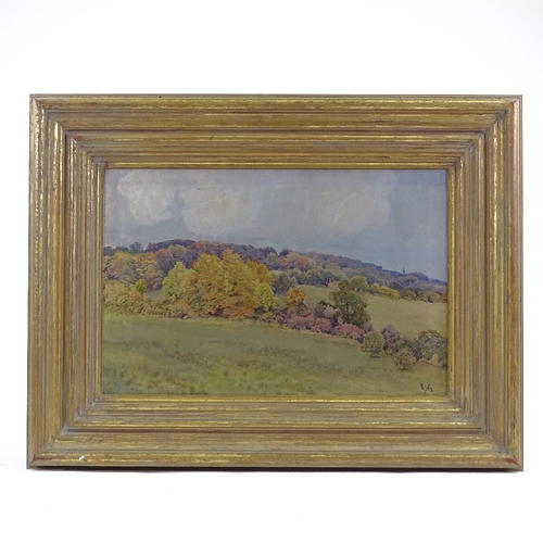 1265 - Early 20th century oil on canvas, extensive landscape, signed with monogram, dated 1912, 12