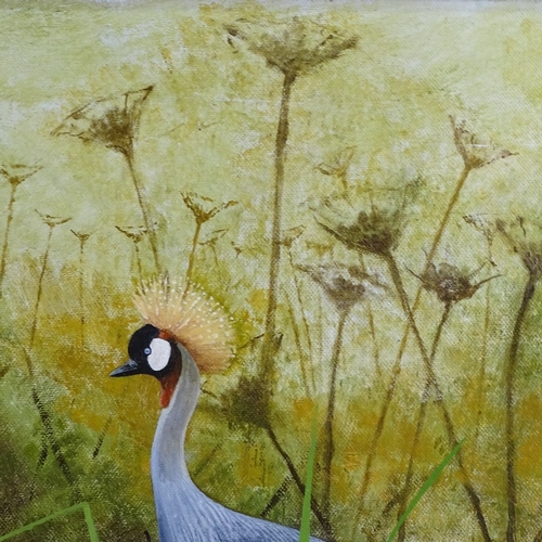 1278 - M A Morley, oil on canvas, East African cranes, 20