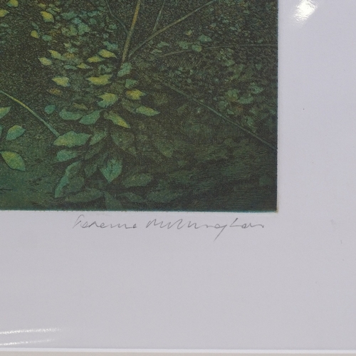 1304 - Terence Millington (born 1943), aquaprint in colour, Monti in Chianti, signed and numbered from an e... 