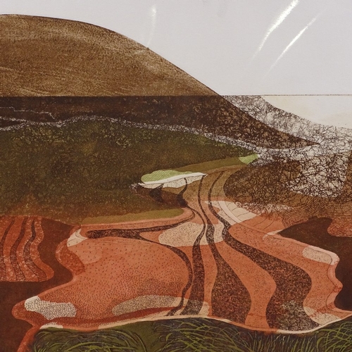 1305 - M I Heath, lithograph, Snar Valley, Crawfordjohn, signed and numbered 2/7, dated '75, image 16