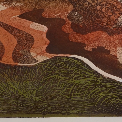 1305 - M I Heath, lithograph, Snar Valley, Crawfordjohn, signed and numbered 2/7, dated '75, image 16