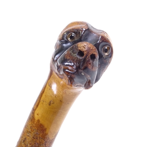 318 - A carved wood dog's head-handled walking cane with glass eyes