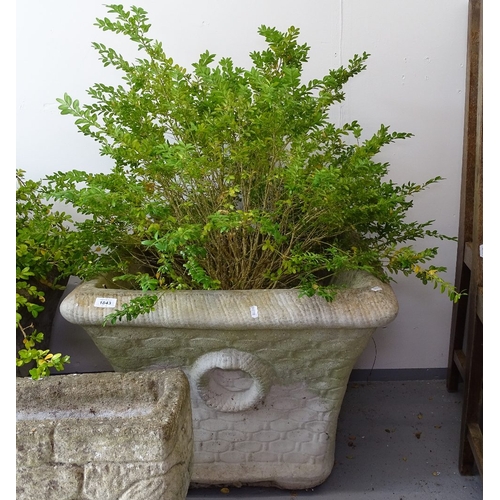 1843 - A pair of large square concrete planters, W63cm, H48cm