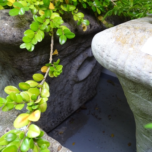 1843 - A pair of large square concrete planters, W63cm, H48cm