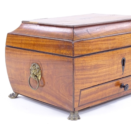 156 - A Regency satinwood jewel box, with brass lion ring handles and lion paw feet, width 22cm