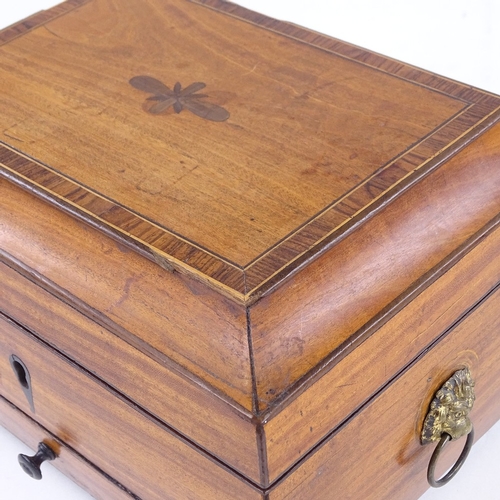 156 - A Regency satinwood jewel box, with brass lion ring handles and lion paw feet, width 22cm