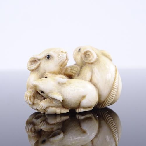 271 - A 19th century Japanese ivory netsuke, depicting 3 rats, 4cm across