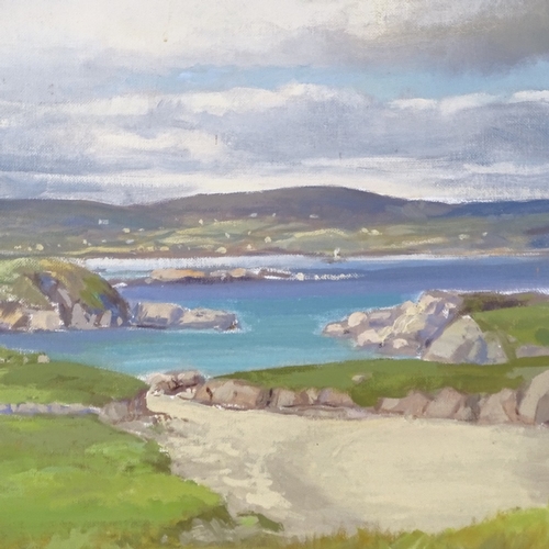 1060 - Sean Nichol, oil on board, Aranmore from Gloughglass County Donegal, signed, 16