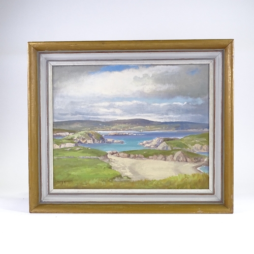 1060 - Sean Nichol, oil on board, Aranmore from Gloughglass County Donegal, signed, 16