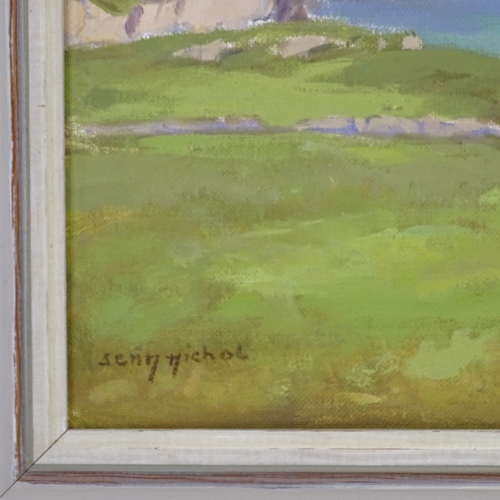 1060 - Sean Nichol, oil on board, Aranmore from Gloughglass County Donegal, signed, 16