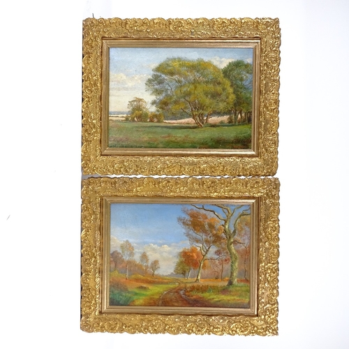 1076 - C A Green, pair of oils on board, rural landscapes, signed, 9