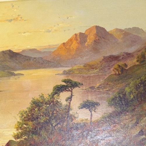 1077 - F E Jamieson, pair of oils on canvas, Highland Loch scenes, signed, title verso, 16