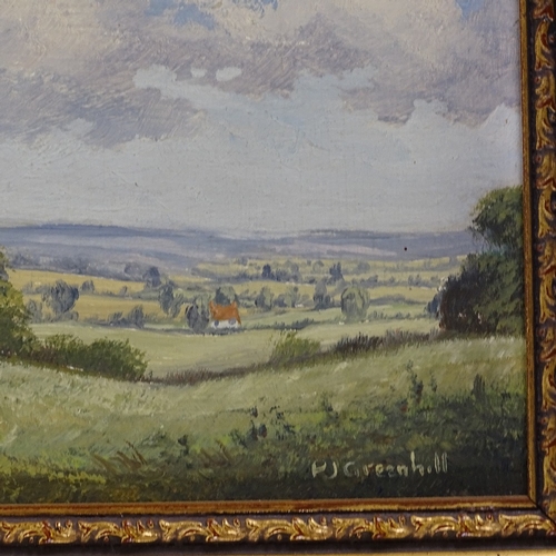 1332 - Peter Greenhalf, pair of oils on board, landscapes, signed, 4.5