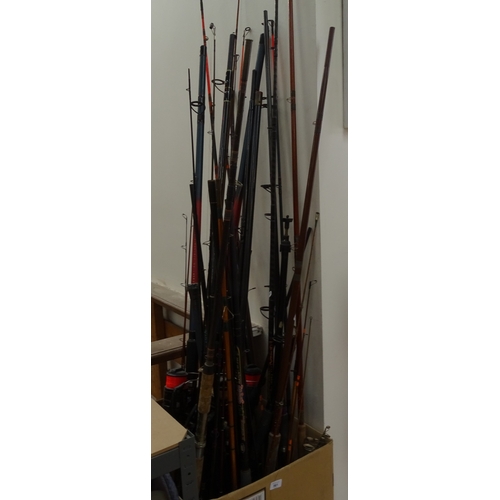 561 - A large quantity of fishing rods and reels