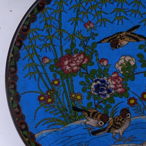 580 - 3 Japanese cloisonne enamel plates, largest 30cm diameter