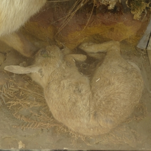 68 - TAXIDERMY - a hunting fox with rabbit, in naturalistic surround and glazed case, case length 115cm, ... 