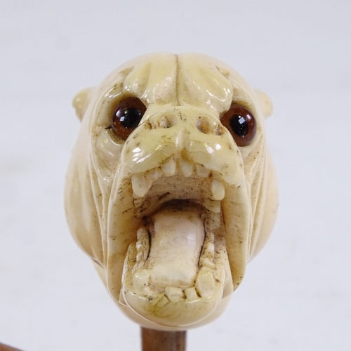 211 - A 19th century carved ivory Bulldog design walking stick handle, with glass eyes