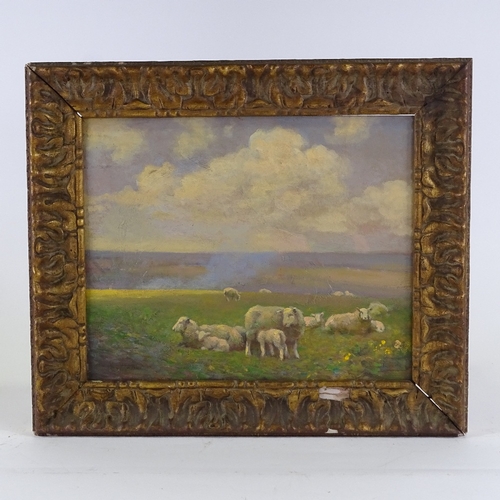 1083 - Fred Hall, oil on board, Downland sheep, signed, 13